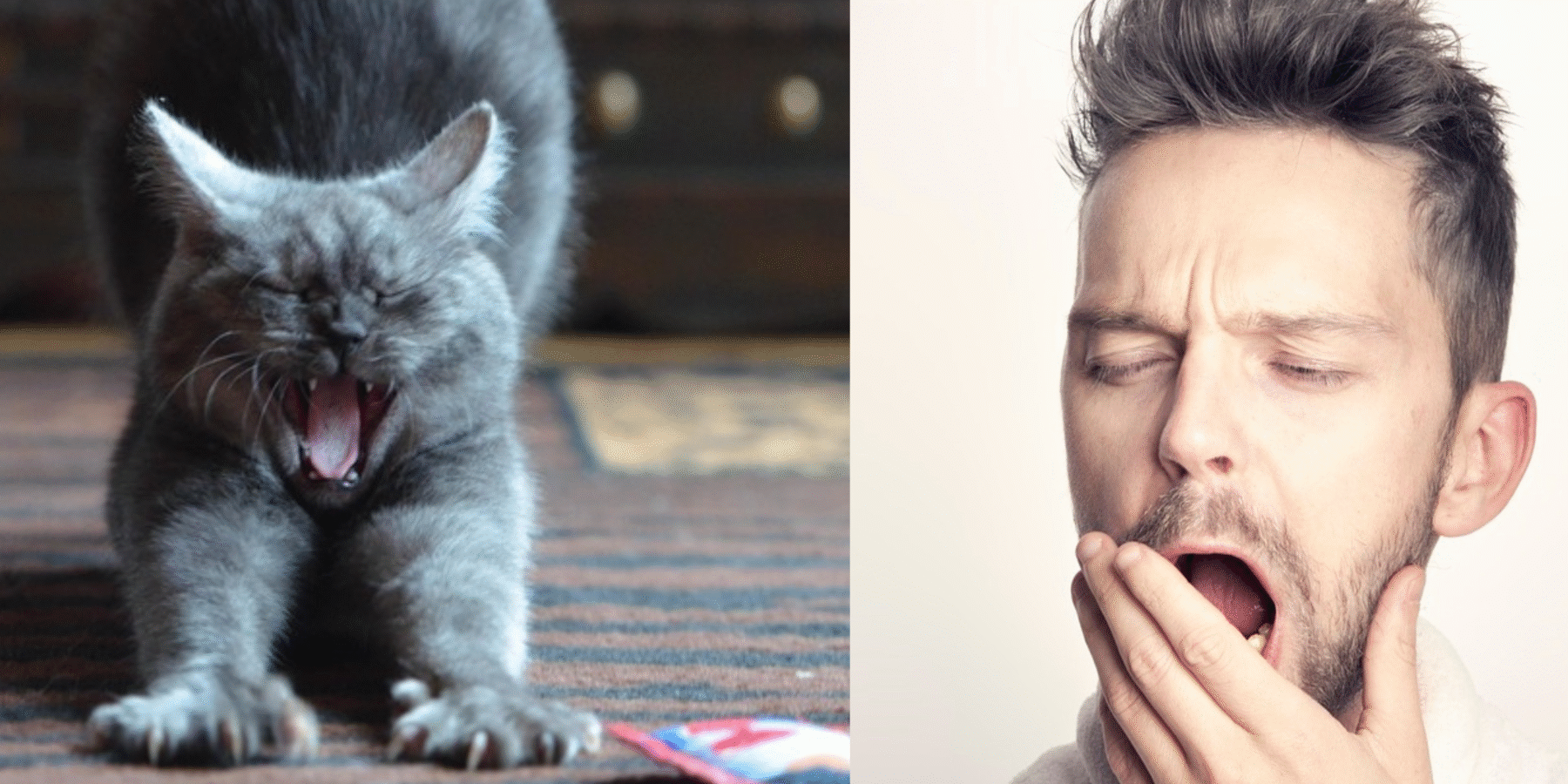 Вчені встановили, чому люди позіхають “за компанію”