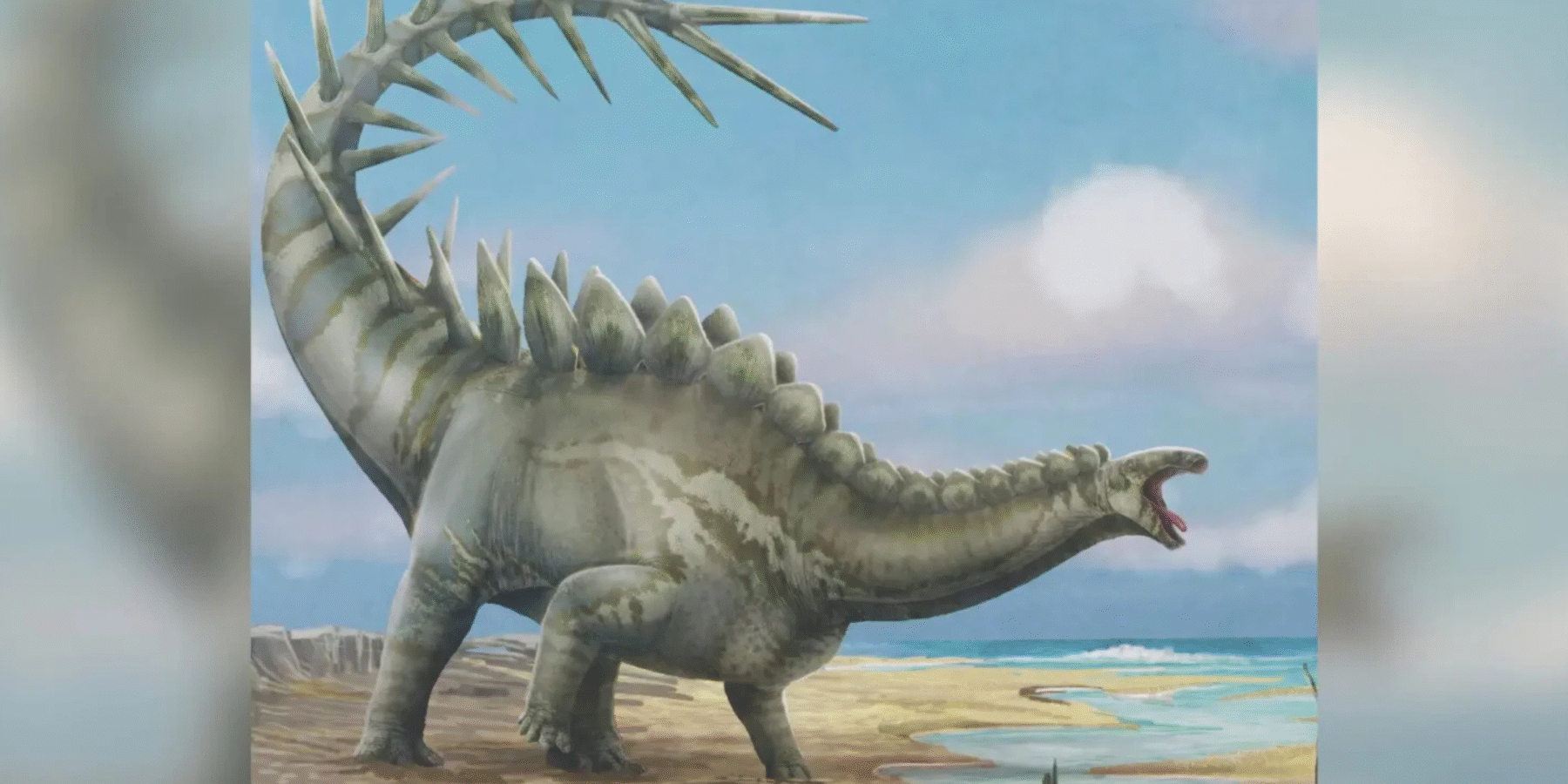 В Іспанії знайшли найкраще збережений череп стегозавра в Європі віком 150 млн років