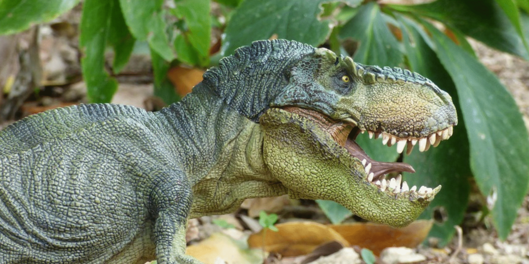 У Монголії знайшли скам’янілість предка тиранозавра рекса