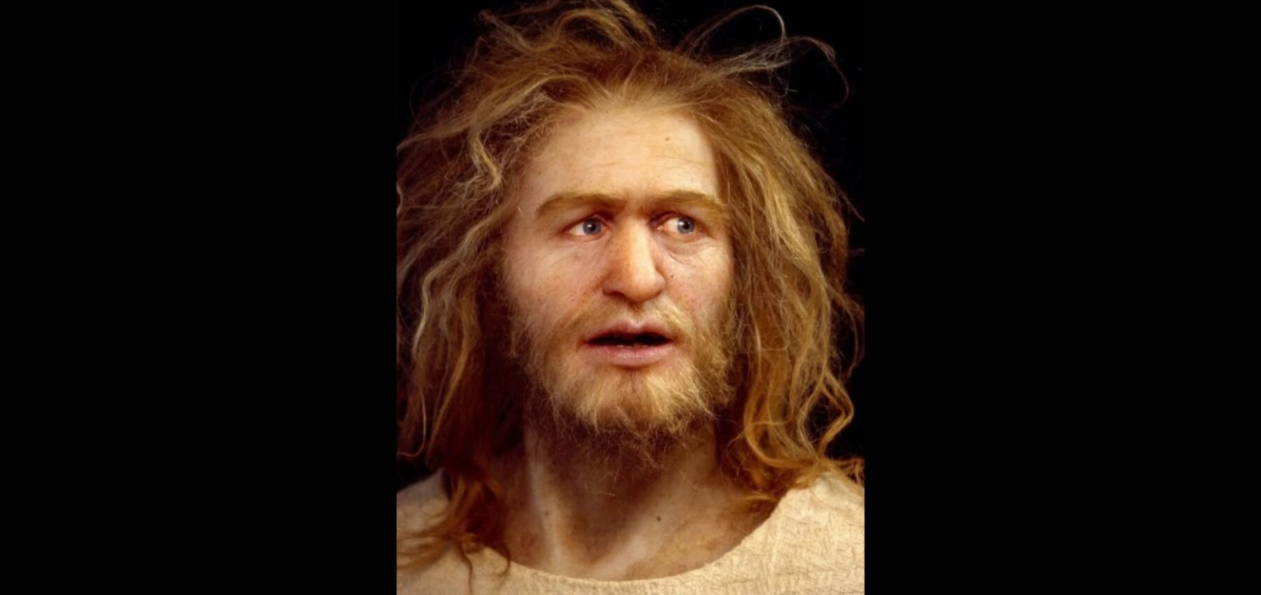 Вчені відтворили зовнішність ватажка піратів, який став прототипом Робіна Гуда