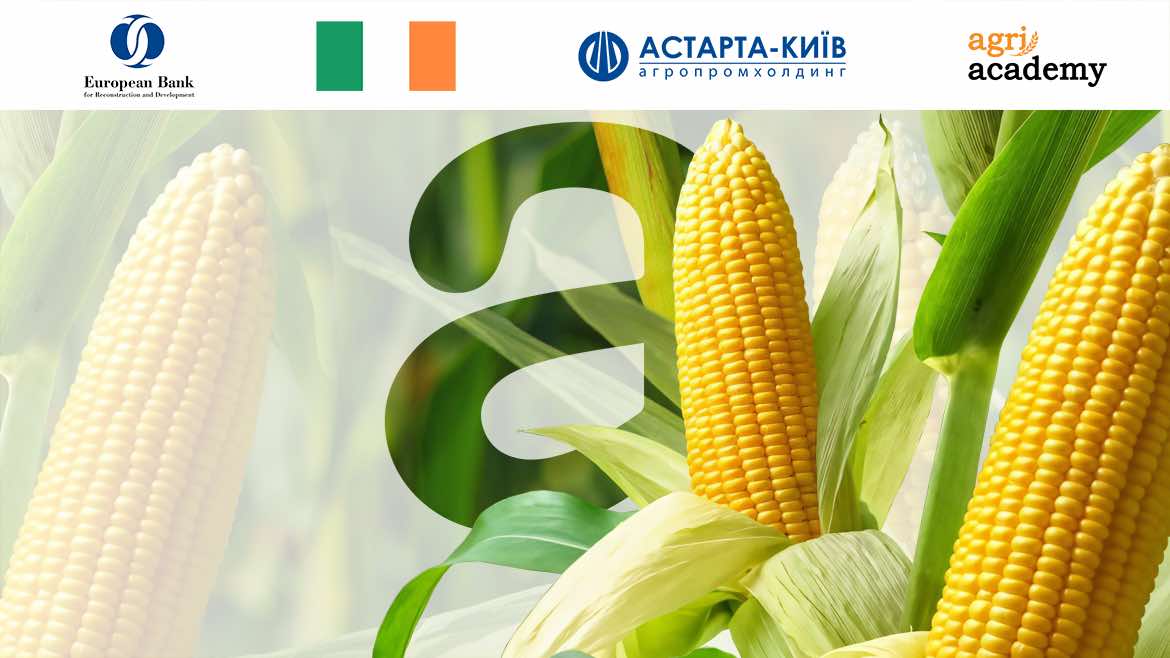 На AgriAcademy вийшли два нові курси з вирощування кукурудзи від експертів агропромхолдингу «Астарта-Київ»