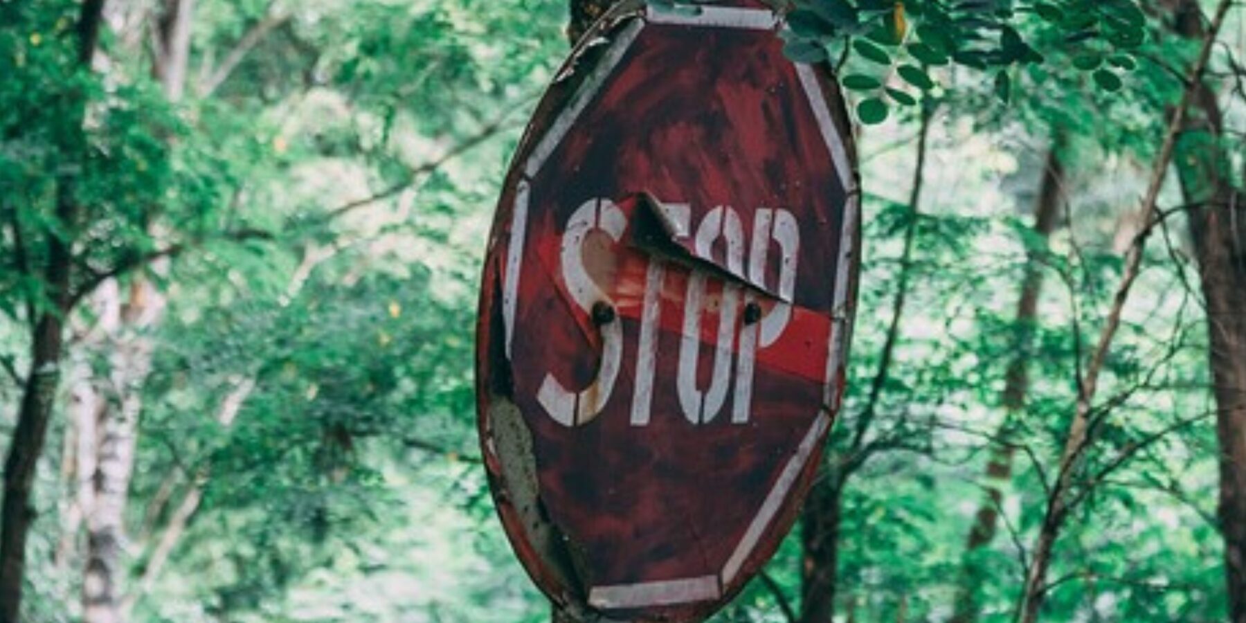 У радіоактивних озерах США виявили життя