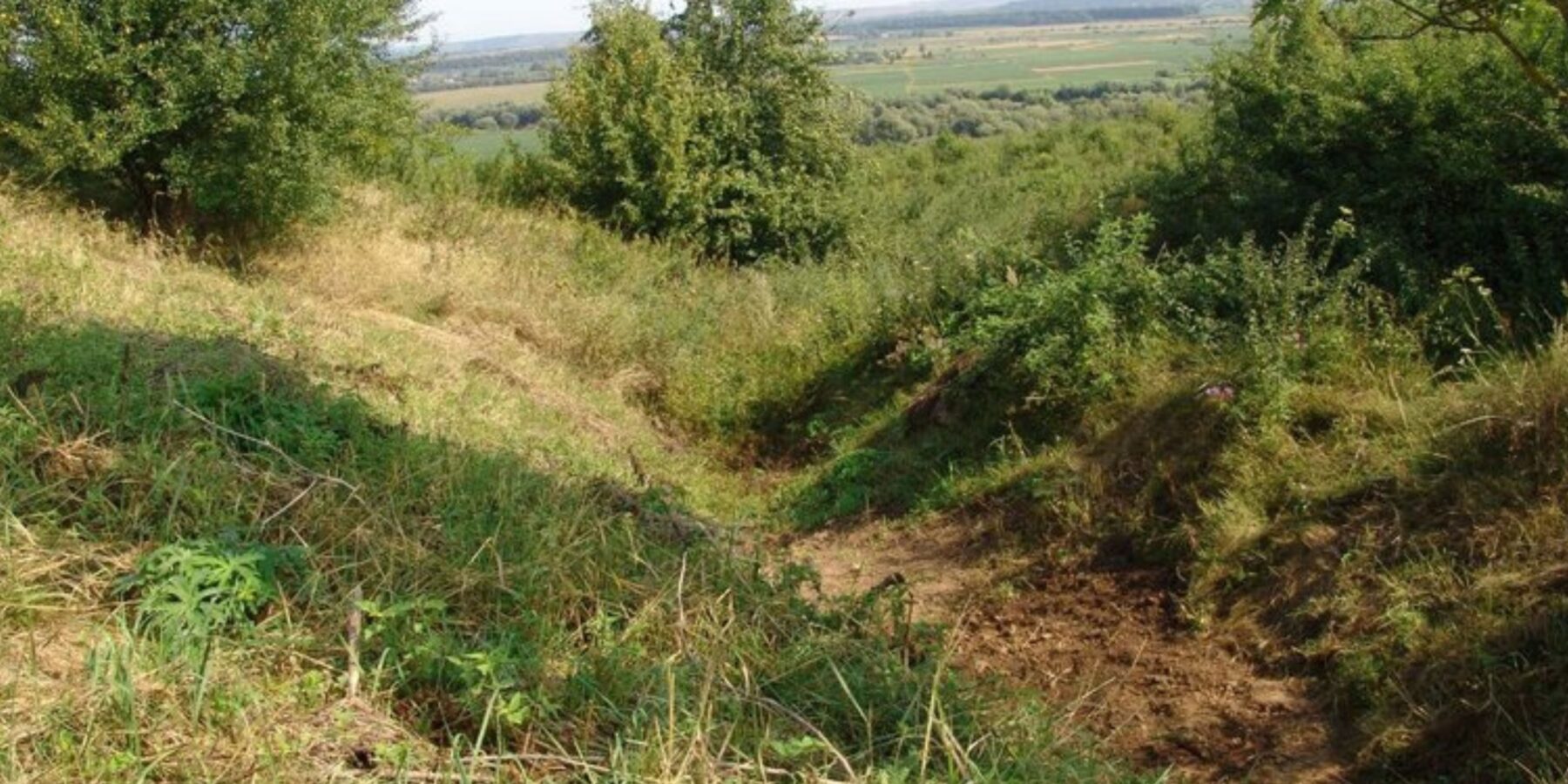 На Івано-Франківщині знайшли рештки кераміки часів Київської Русі