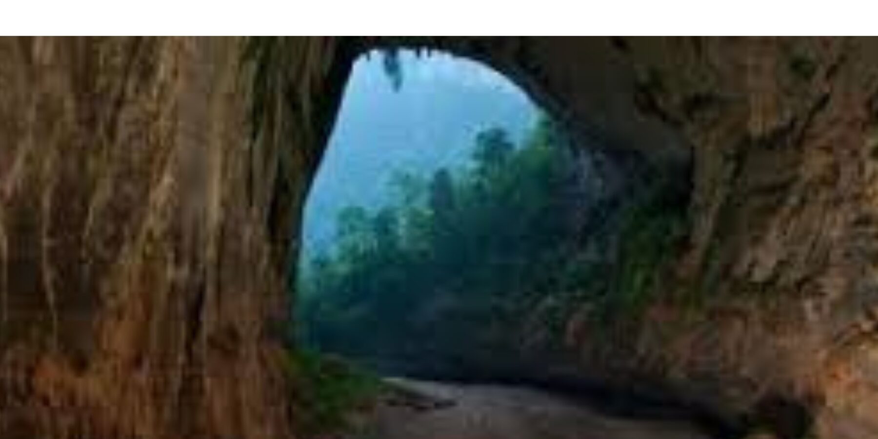 У Норвегії знайшли скам’янілості тварин льодовикового періоду