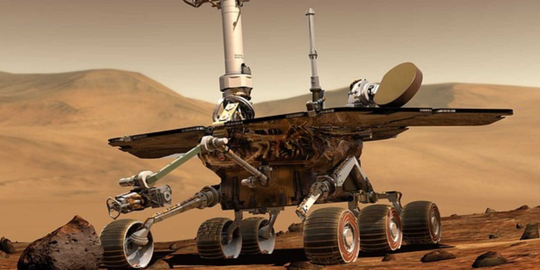 На Марсі знайшли черепаху