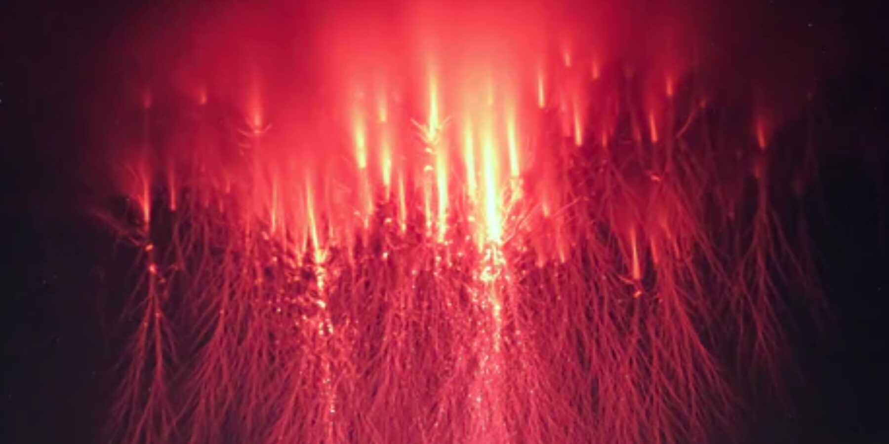 У США зафіксували появу повітряного духа