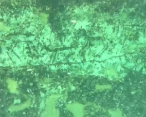 У водах Туреччини знайшли наскельні малюнки віком 12 тисяч років