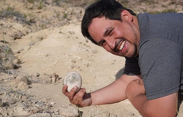 В Аргентині знайшли ідеально збережене яйце хижого динозавра