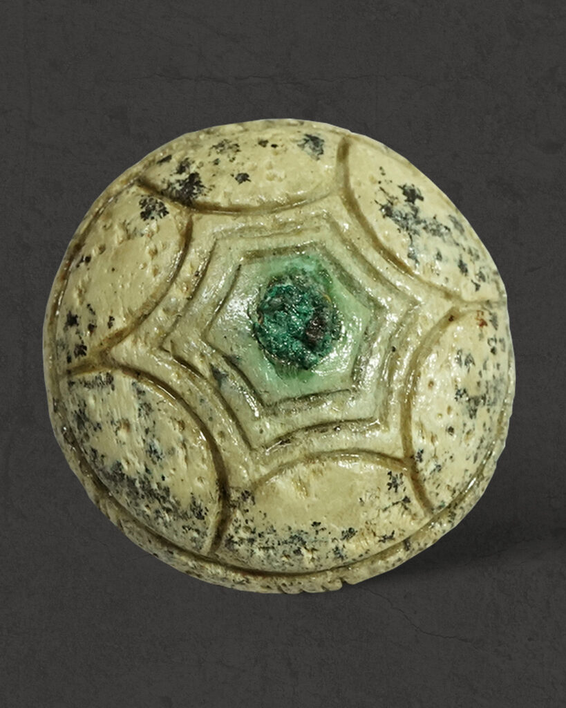 Вчені з'ясували, як виглядали коні із 3500-річного поховання, знайденого на Тернопільщині