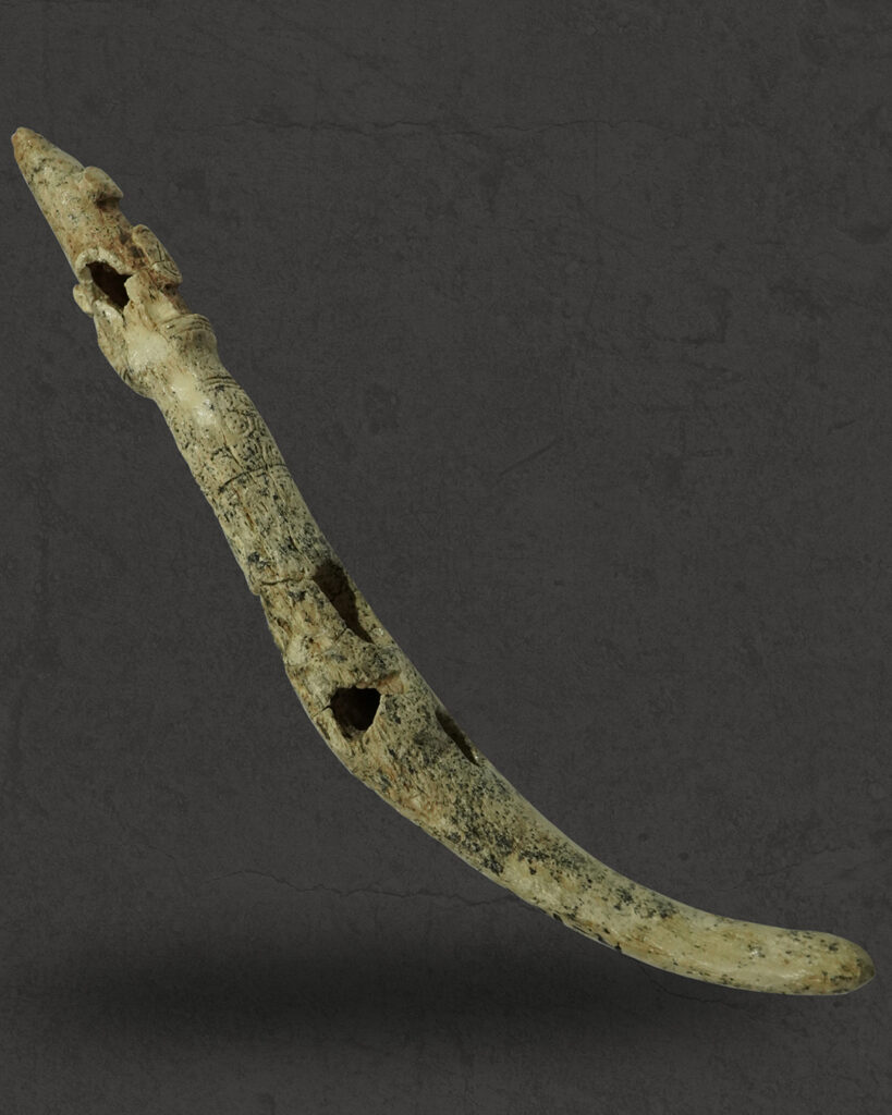 Вчені з'ясували, як виглядали коні із 3500-річного поховання, знайденого на Тернопільщині