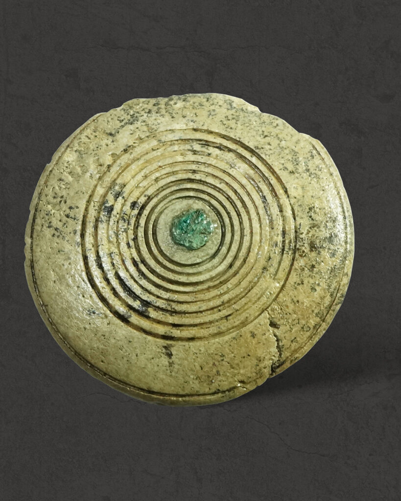 Вчені з'ясували, як виглядали коні із 3500-річного поховання, знайденого на Тернопільщині