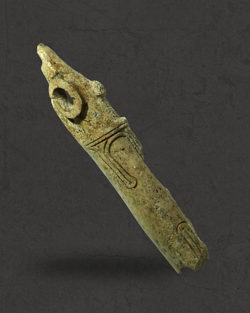 Вчені з'ясували, як виглядали коні із 3500-річного поховання, знайденого на Тернопільщині