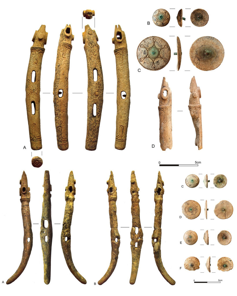 Вчені з'ясували, як виглядали коні із 3500-річного поховання, знайденого на Тернопільщині