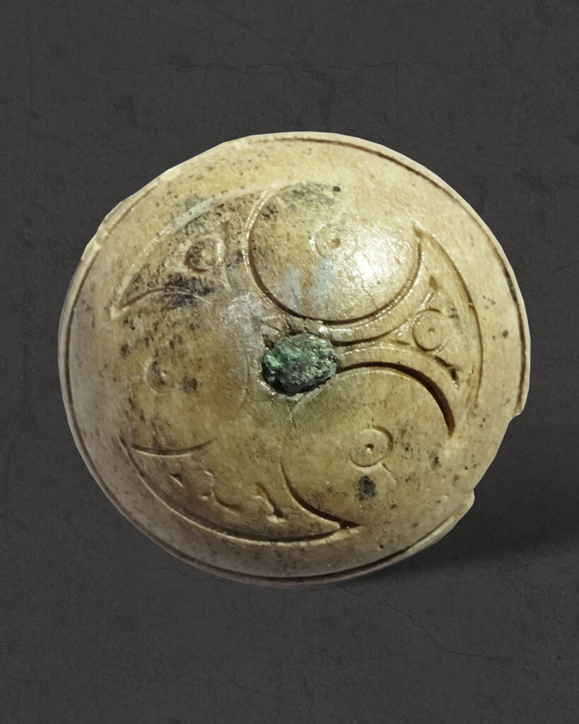 Вчені з'ясували, як виглядали коні із 3500-річного поховання, знайденого на Тернопільщині