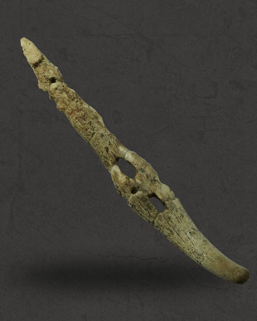 Вчені з'ясували, як виглядали коні із 3500-річного поховання, знайденого на Тернопільщині