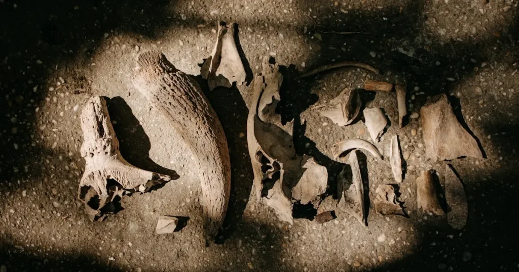 Вчені з'ясували, чим насправді харчувалися неандертальці