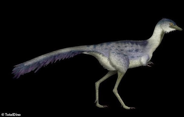 В Аргентині знайшли ідеально збережене яйце хижого динозавра