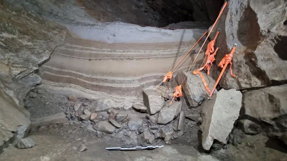 У Норвегії знайшли останки тварин та птахів льодовикового періоду