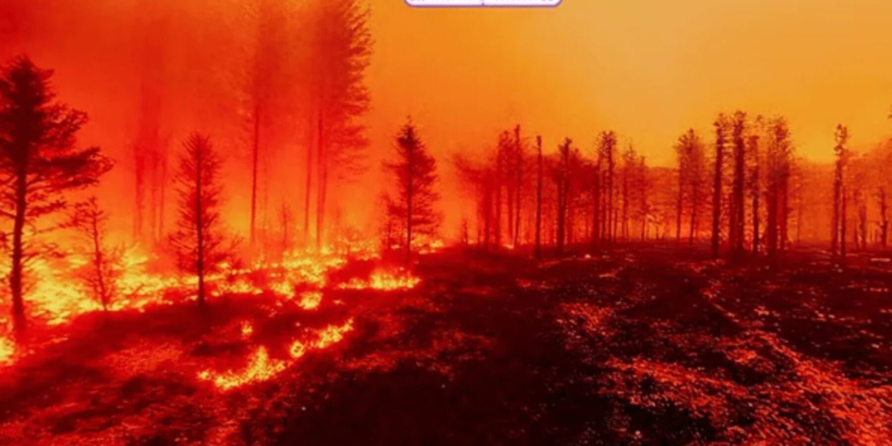 Вчені з'ясували, який вигляд буде мати світ у 2100 році Вчені з'ясували, який вигляд буде мати світ у 2100 році