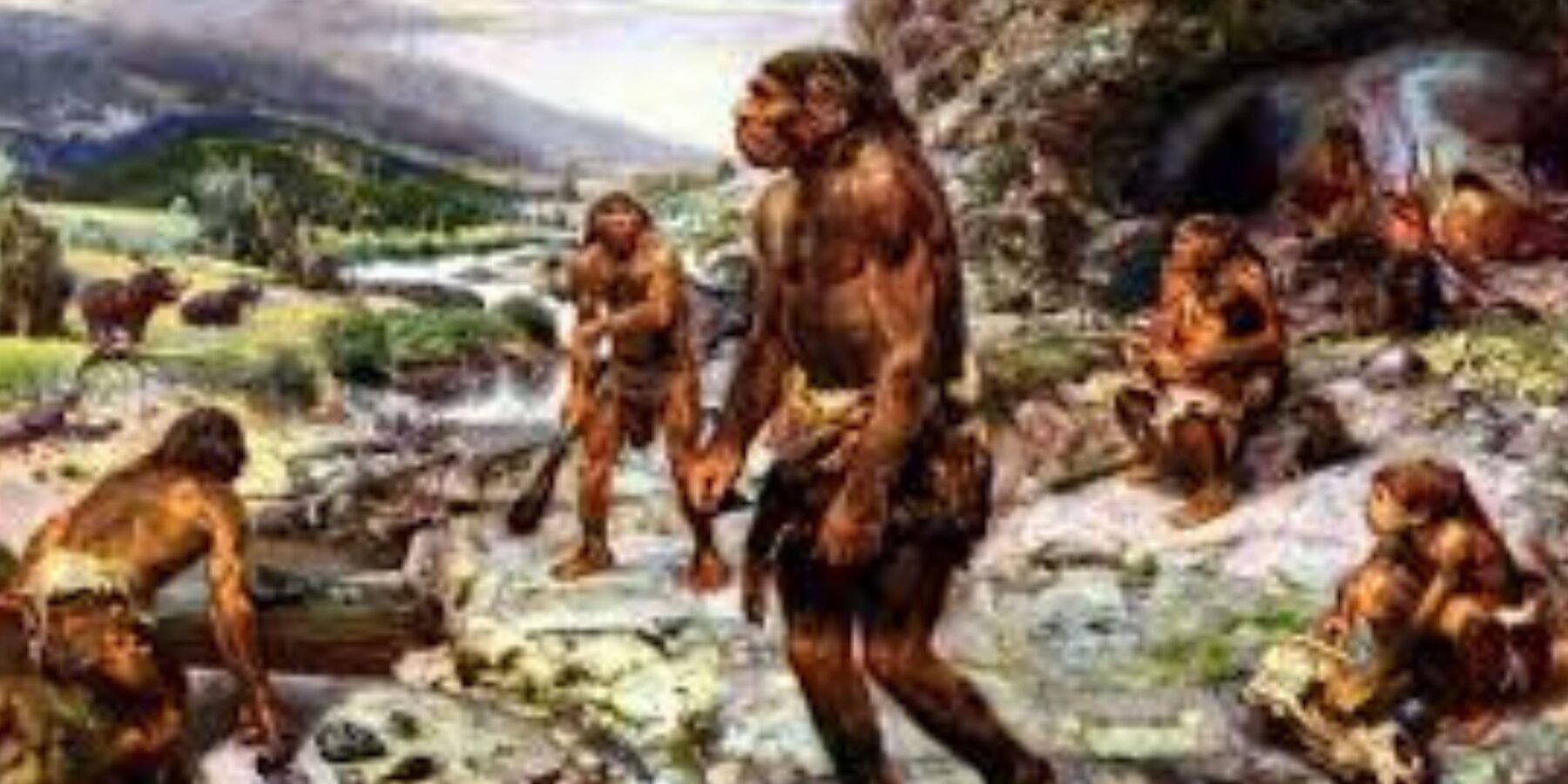 Вчені з'ясували, чим насправді харчувалися неандертальці Вчені з’ясували, чим насправді харчувалися неандертальці