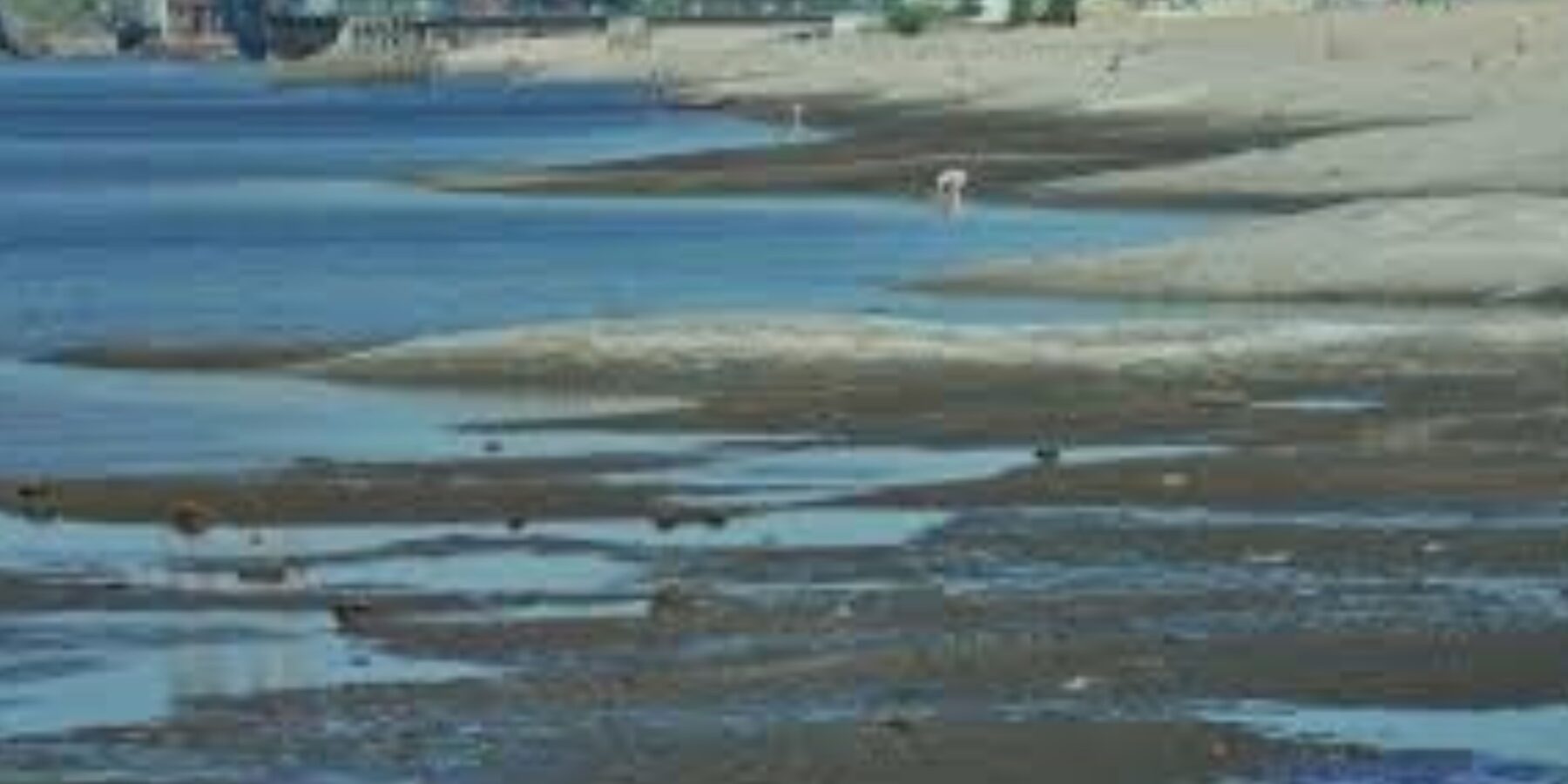 У Запоріжжі знайшли 5000-річний уламок керамічного посуду