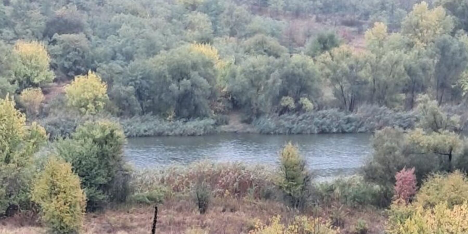 На Кіровоградщині виявили кам'яний степ, вкритий гранітними ідолами