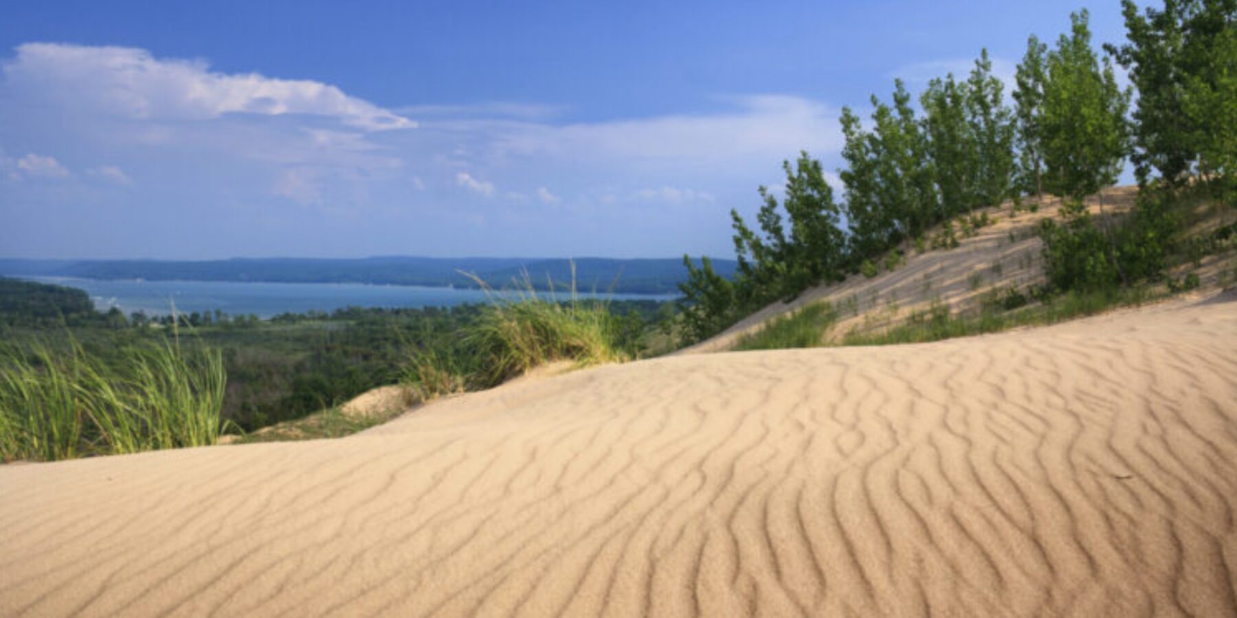 У США знайшли сільськогосподарські грядки Х століття