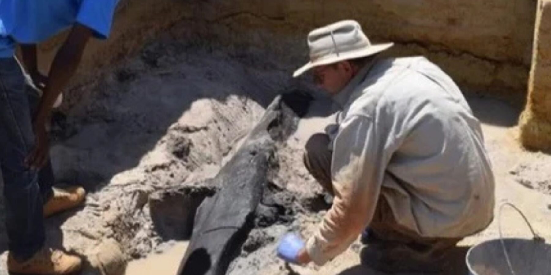 У Замбії знайшли найдавнішу дерев’яну конструкцію у світі