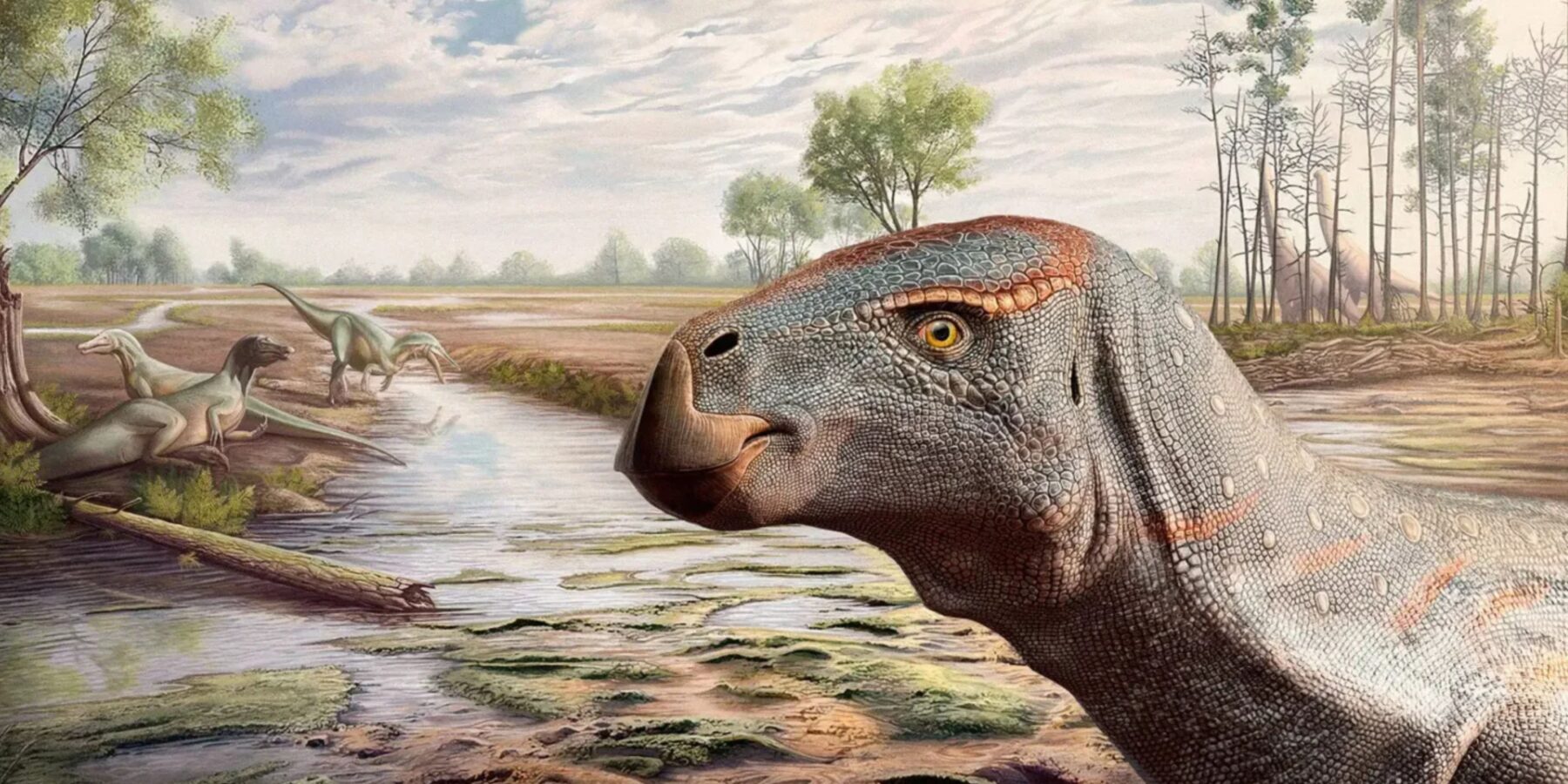 У Португалії знайшли скам’янілість раніше невідомого травоїдного динозавра віком 125 млн років