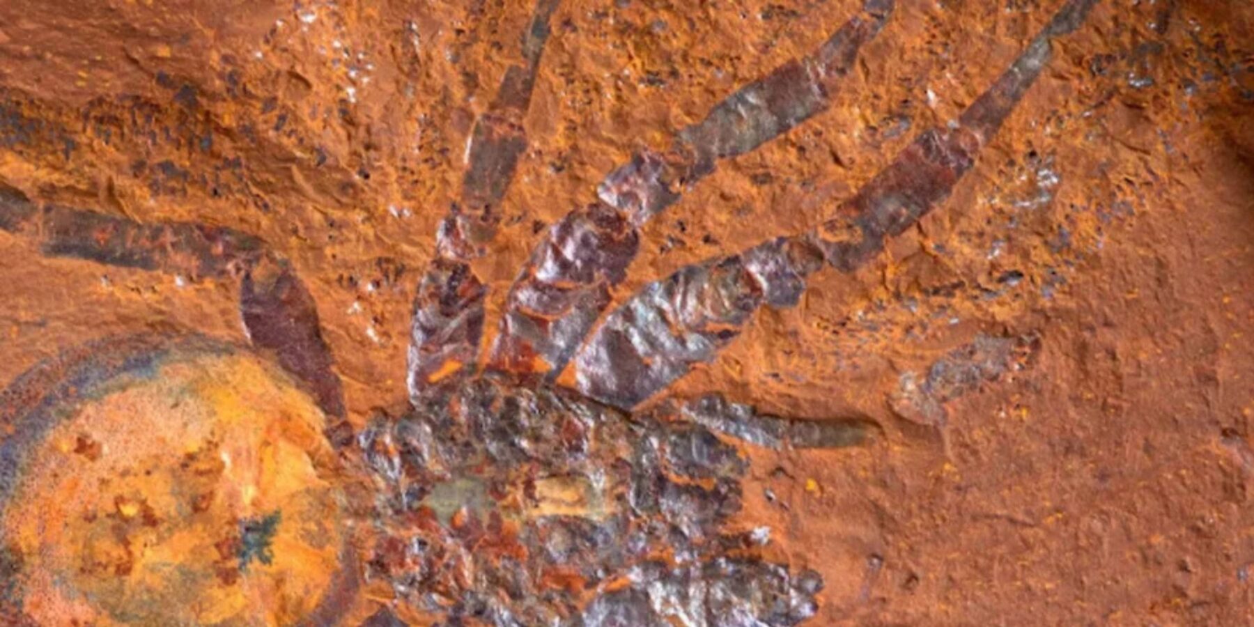 В Австралії знайшли рештки комах, рослин та риб віком понад 11 млн років