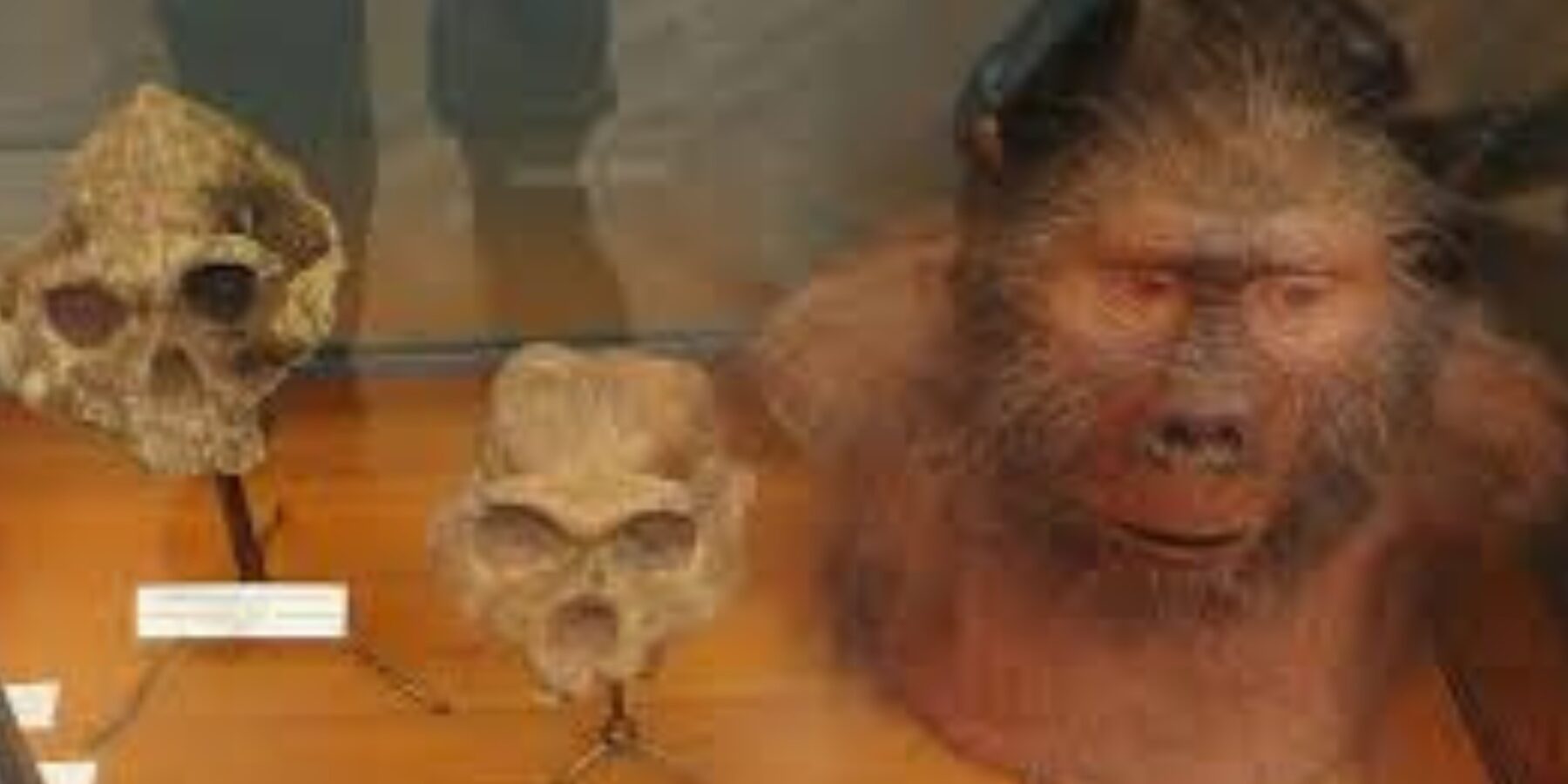 У Кенії знайшли скам'янілості "горилячих" рук вимерлого виду людини віком 1,5 млн років У Кенії знайшли скам’янілості “горилячих” рук вимерлого виду людини віком 1,5 млн років