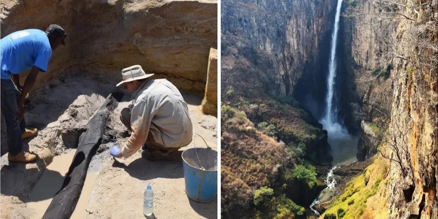 У Замбії знайшли найдавнішу дерев'яну конструкцію у світі