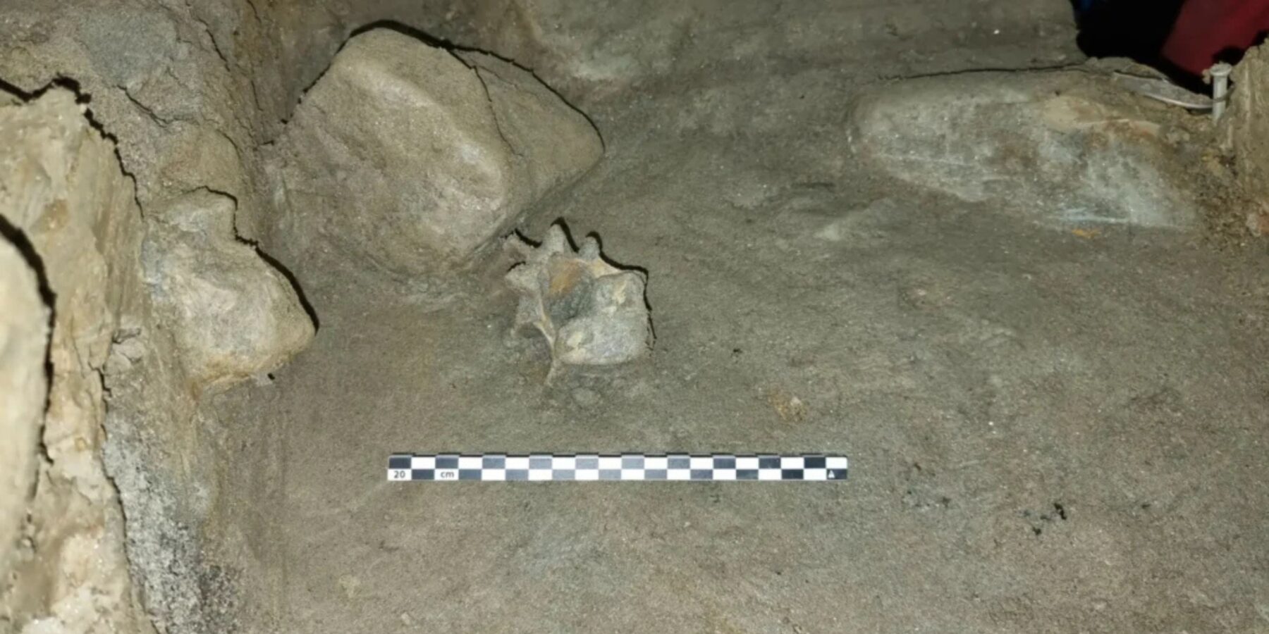 У Норвегії знайшли останки тварин та птахів льодовикового періоду