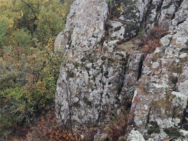 На Кіровоградщині виявили кам'яний степ, вкритий гранітними ідолами