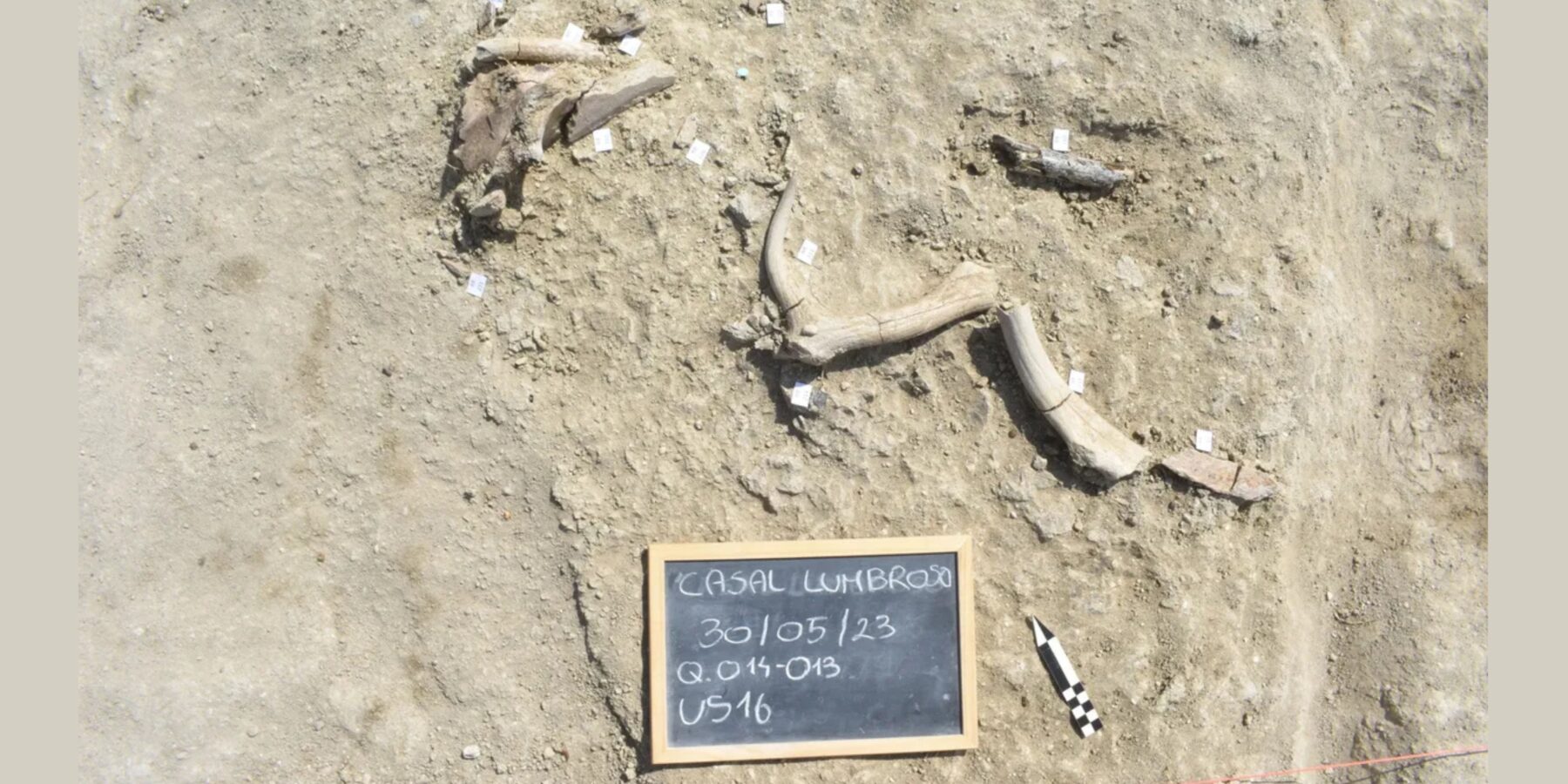 Вчені з’ясували, яке “кухонне приладдя” використовували 400 тисяч років тому