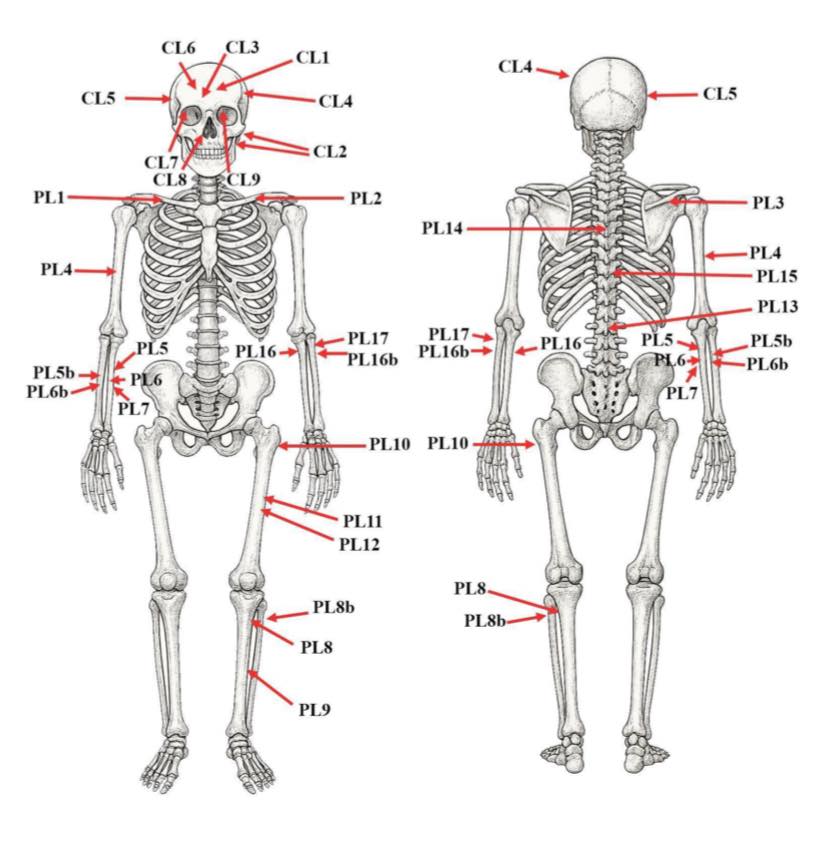 В Угорщині знайшли поховання князя з династії Рюриковичів