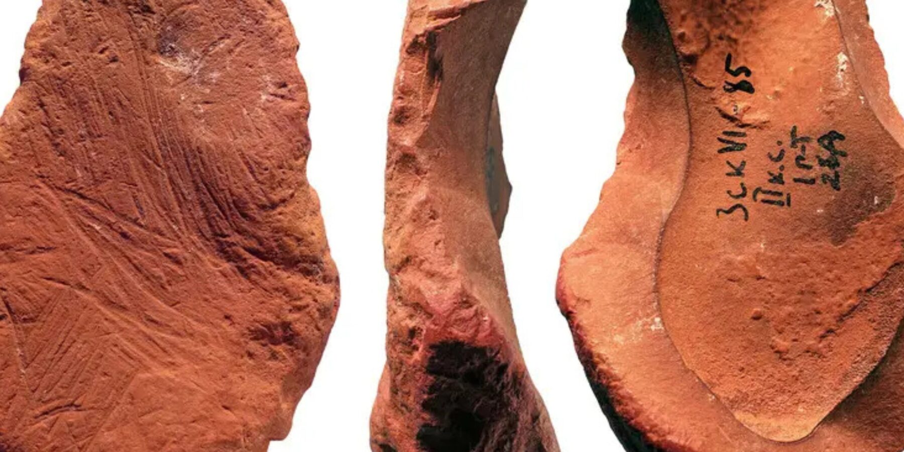 Вчені знайшли докази того, що неандертальці займалися мистецтвом Вчені знайшли докази того, що неандертальці займалися мистецтвом