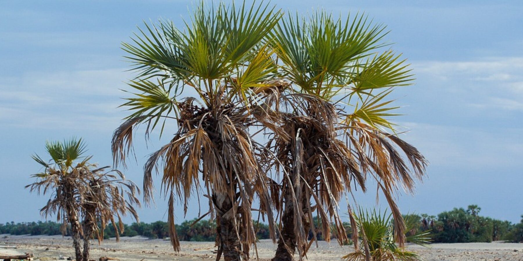 Вчені розкрили одну з найдовших технологічних традицій в історії