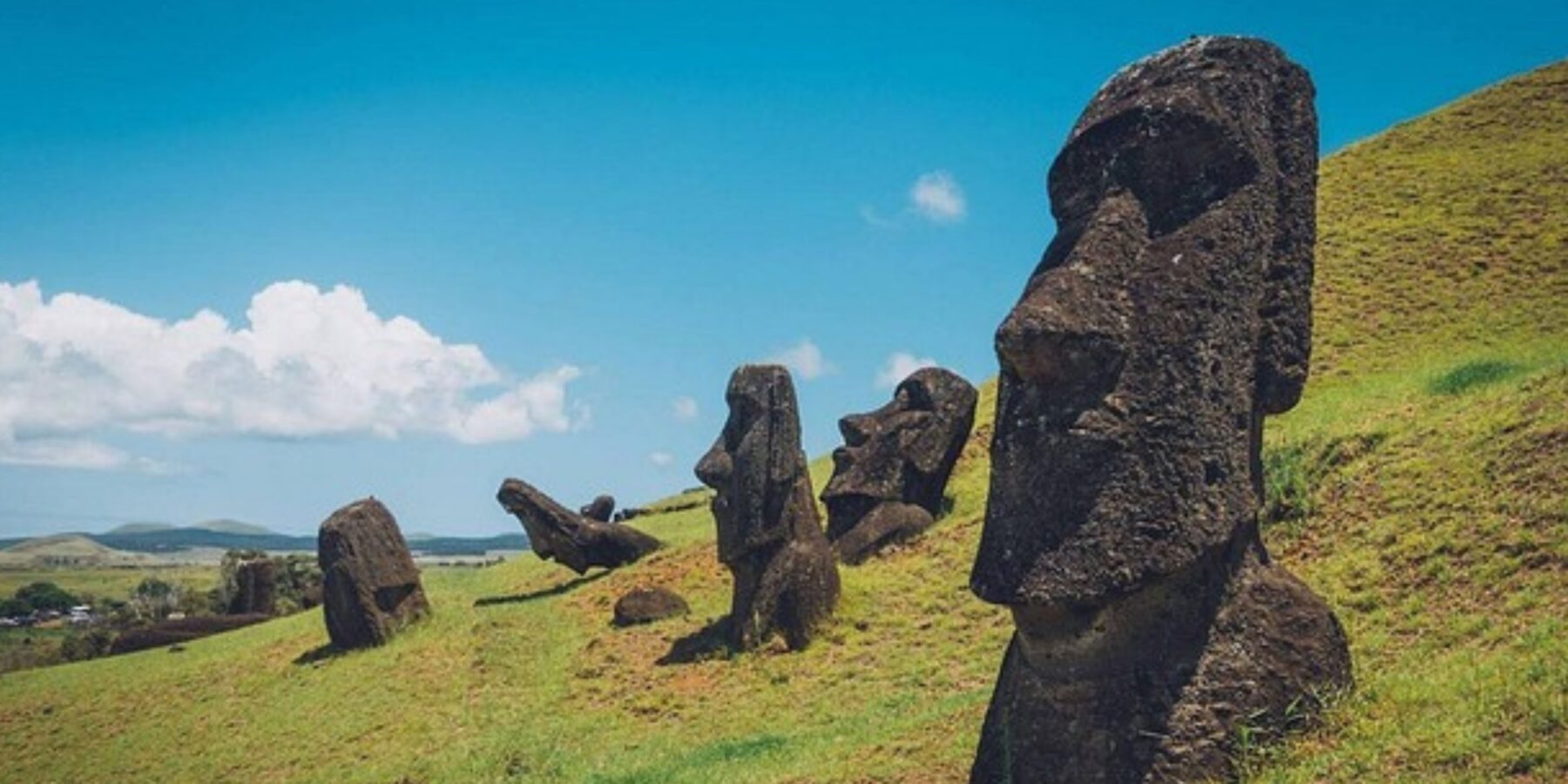 Вчені встановили, як кліматичні зміни вплинули на життя на острові Пасхи Вчені встановили, як кліматичні зміни вплинули на життя на острові Пасхи