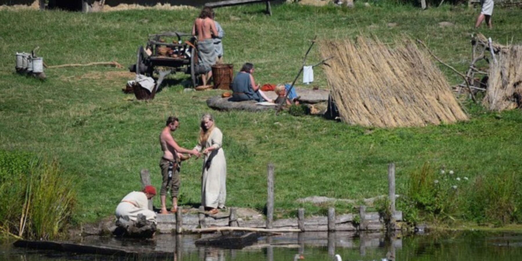 Вчені з'ясували, чи причетні вікінги до знищення дерев в Ісландії Вчені з’ясували, чи причетні вікінги до знищення дерев в Ісландії