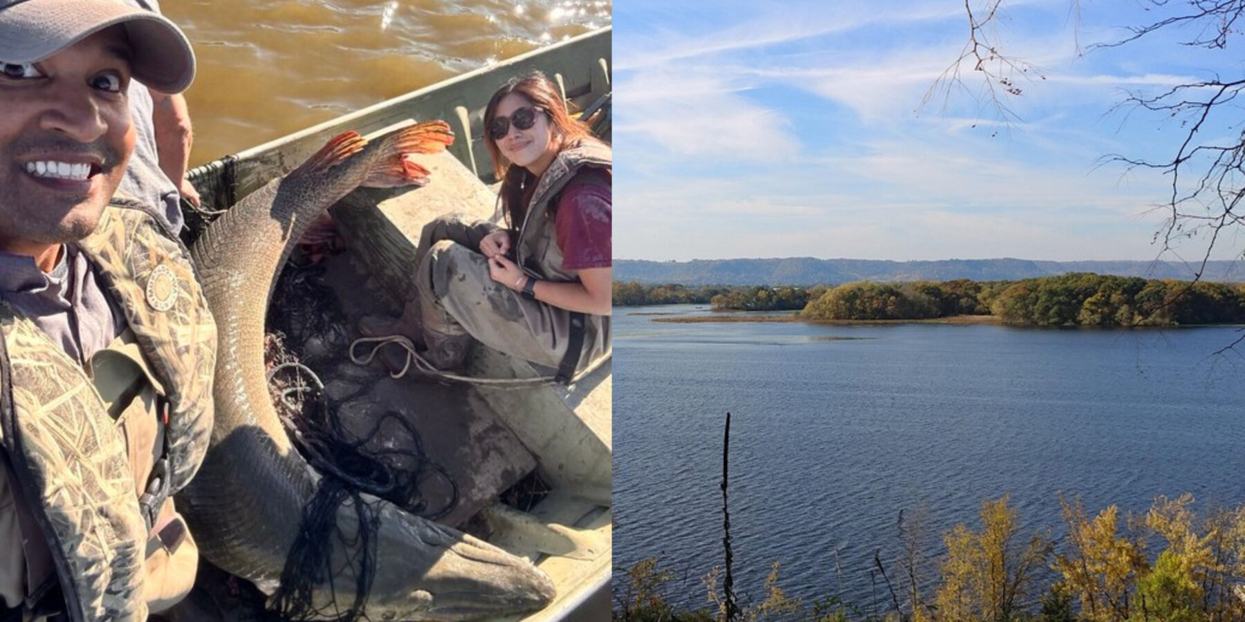 У Міссісіпі виявили “живу викопну істоту”