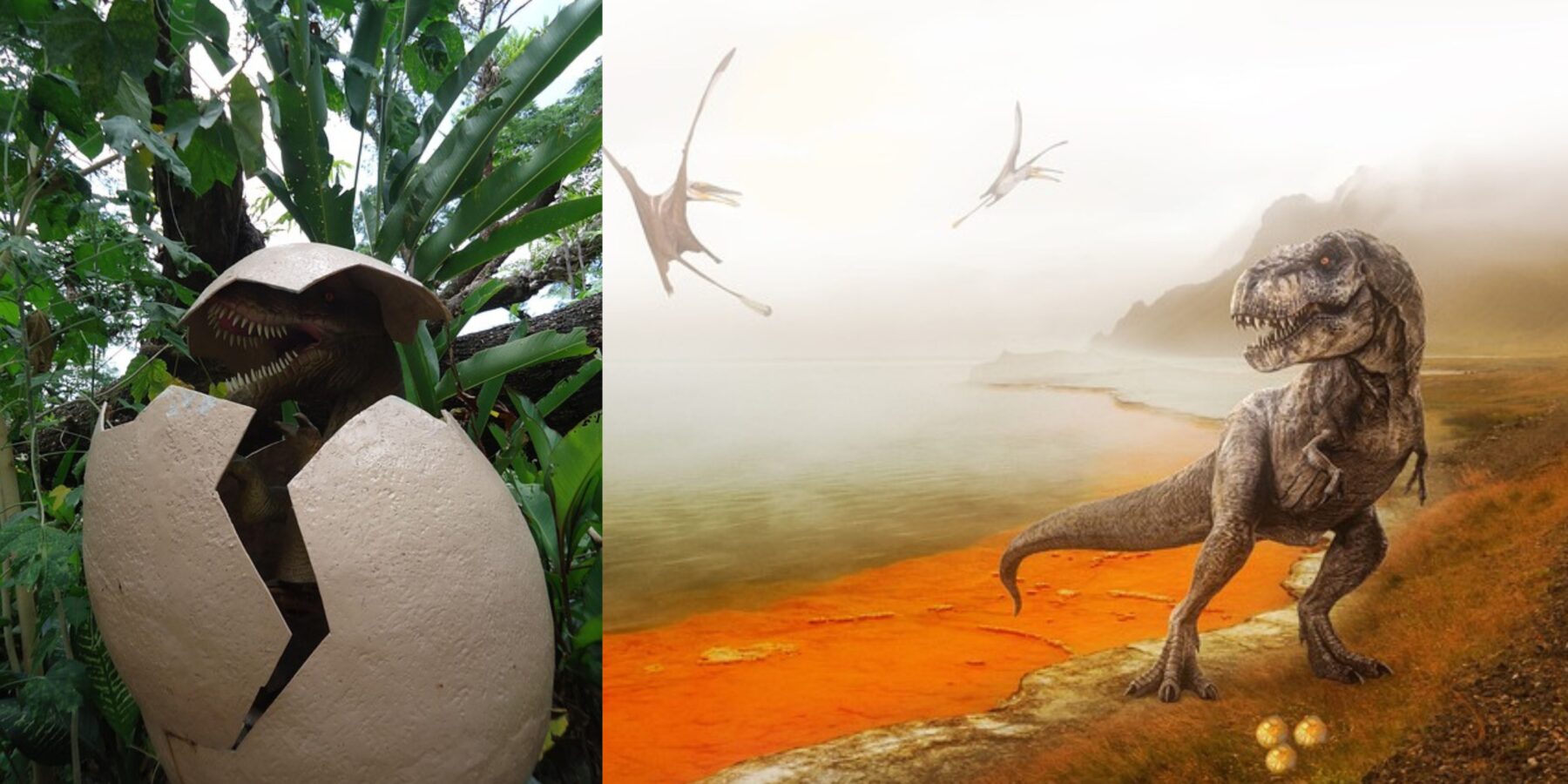 Вчені визначили, як насправді виглядали яйця динозаврів