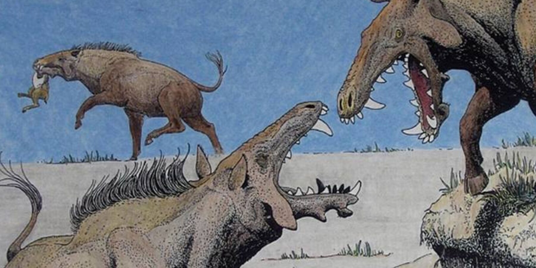 Вчені встановили, чим харчувалися “пекельні свині”, які жили 30 млн років тому