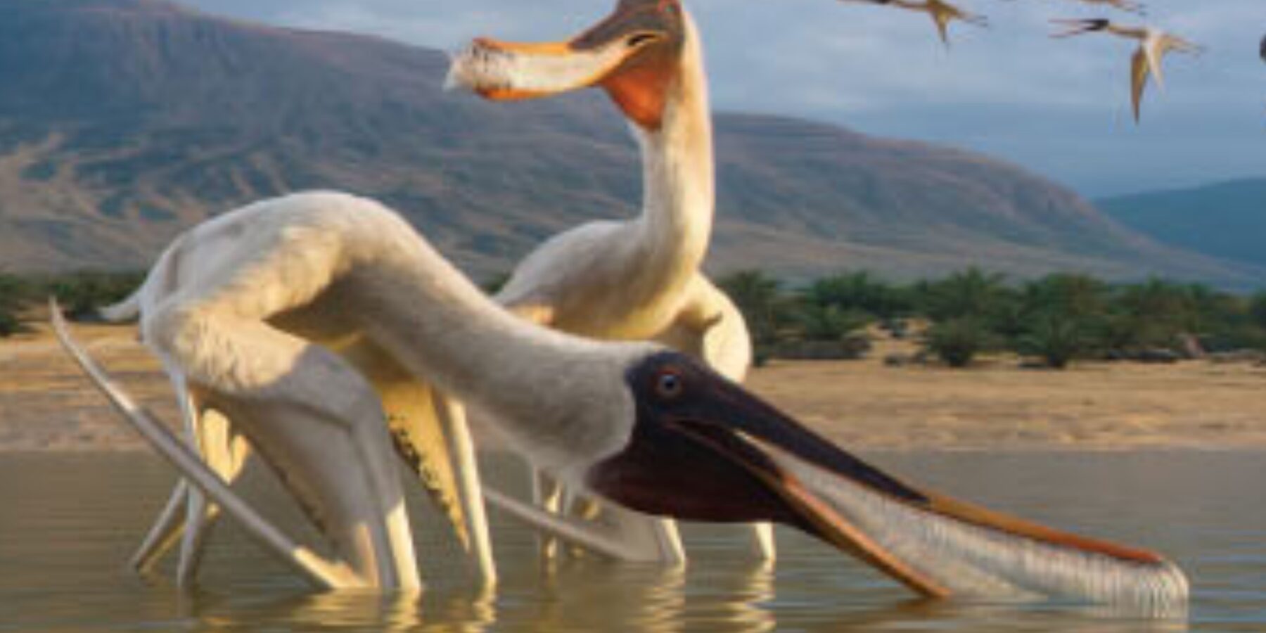 У Бразилії знайшли скам’янілості першого фільтрувального птерозавра