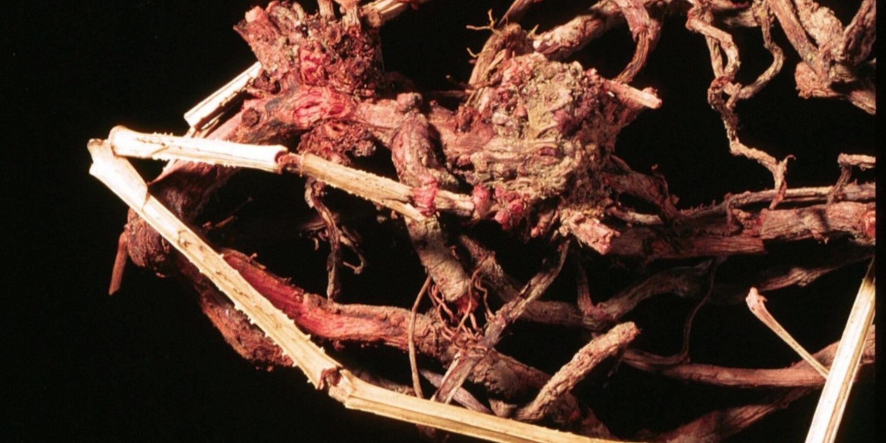 В Ізраїлі знайшли підроблені “елітні” тканини часів Римської імперії