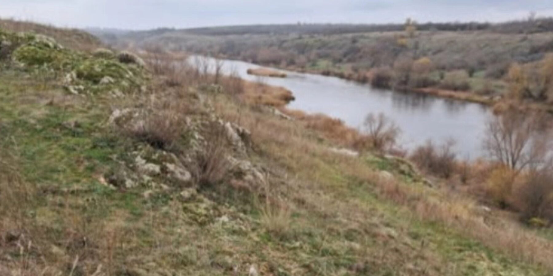 На Миколаївщині виявили унікальний кам’яний степ