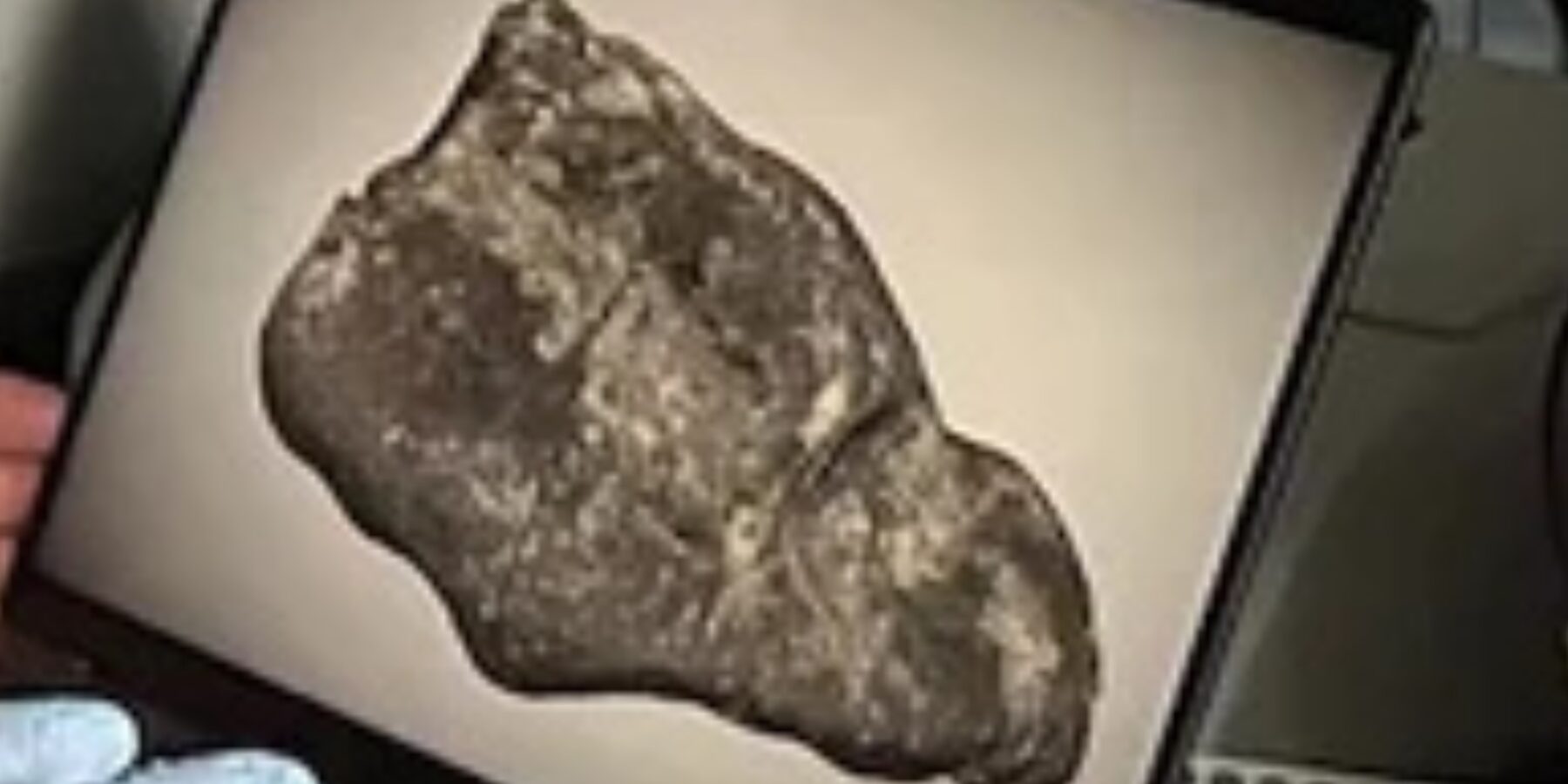В Естонії знайшли жуйку підлітка віком 10 тисяч років