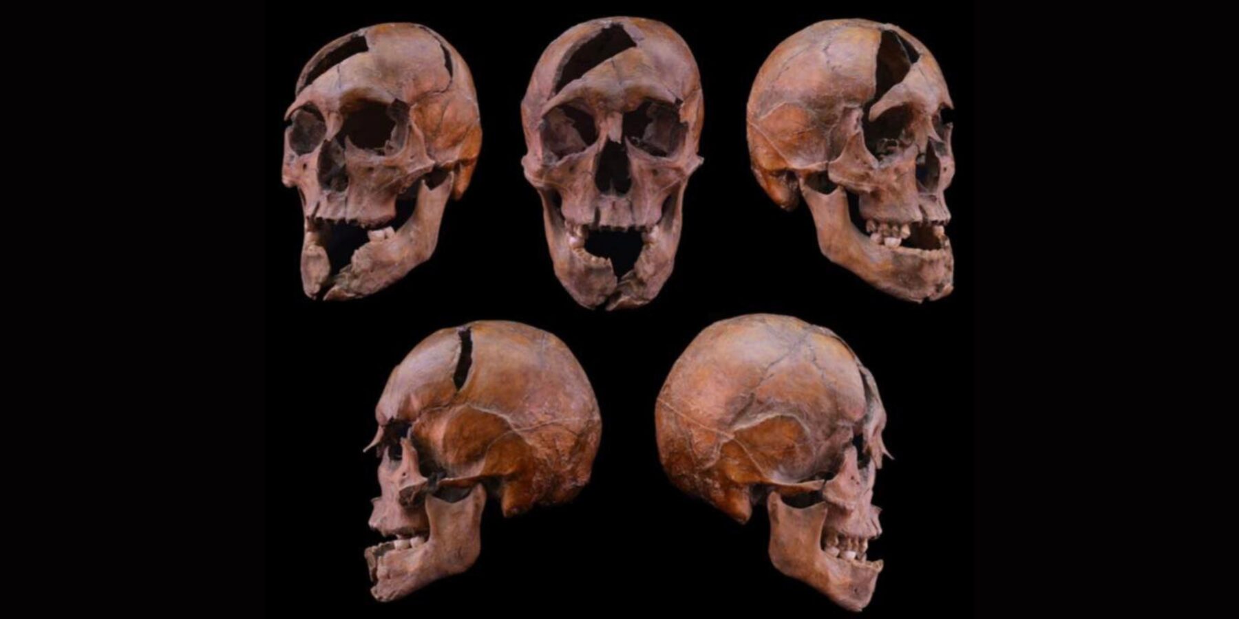 В Угорщині знайшли поховання князя з династії Рюриковичів В Угорщині знайшли поховання князя з династії Рюриковичів