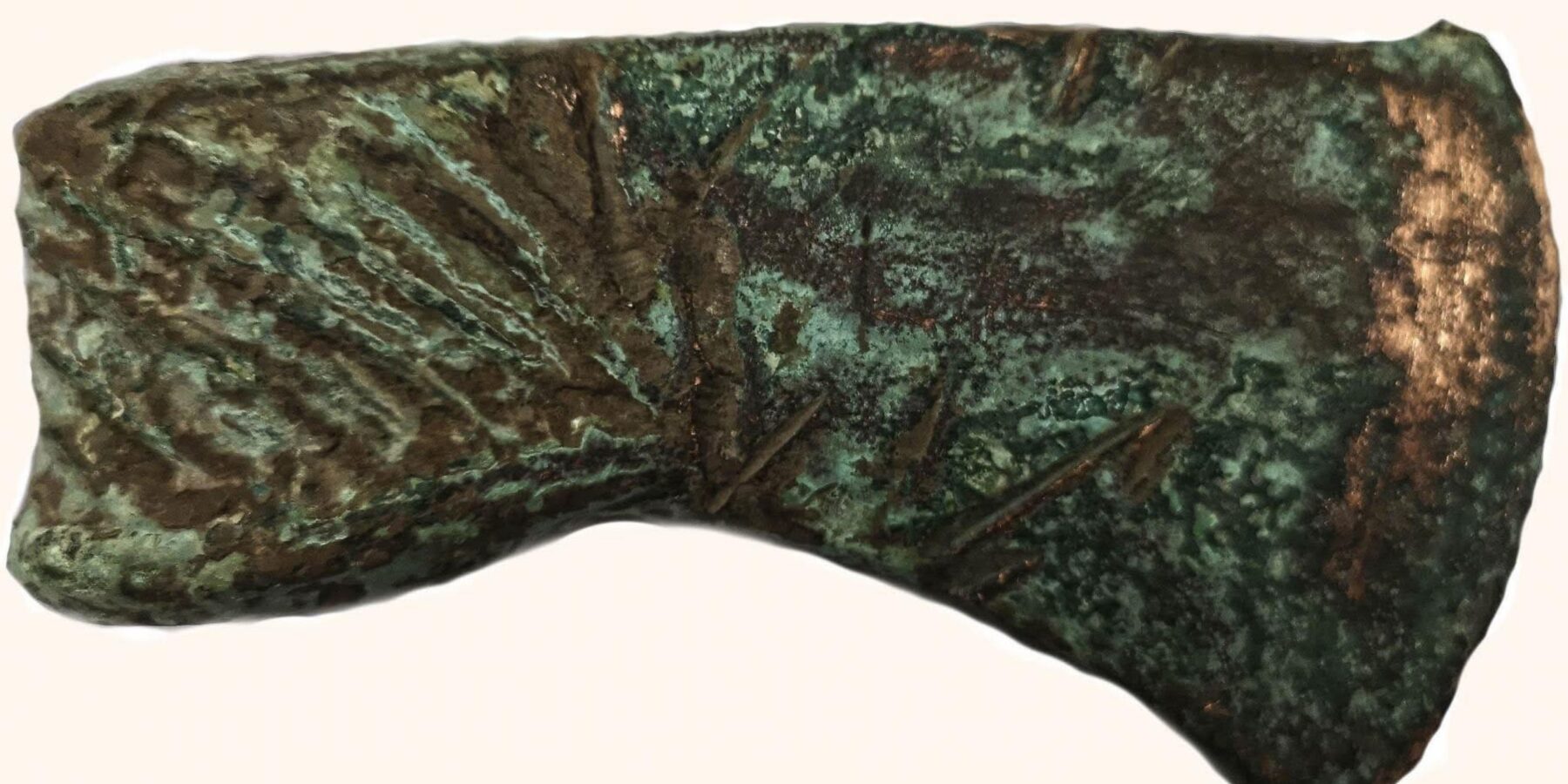 Під Києвом знайшли 5000-річну сокиру