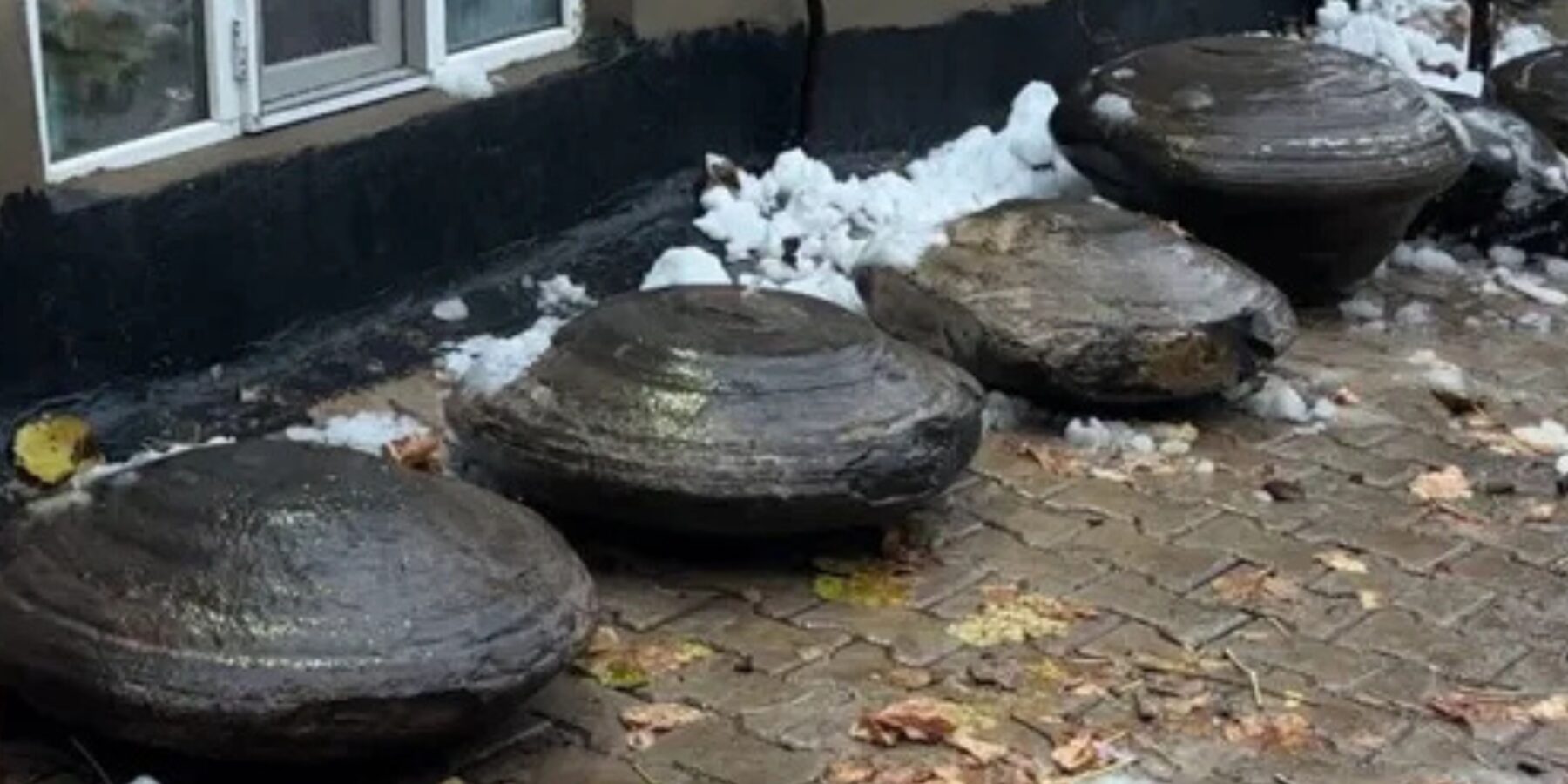 У Туреччині знайшли гігантські камені, які можуть бути залишками давніх тварин